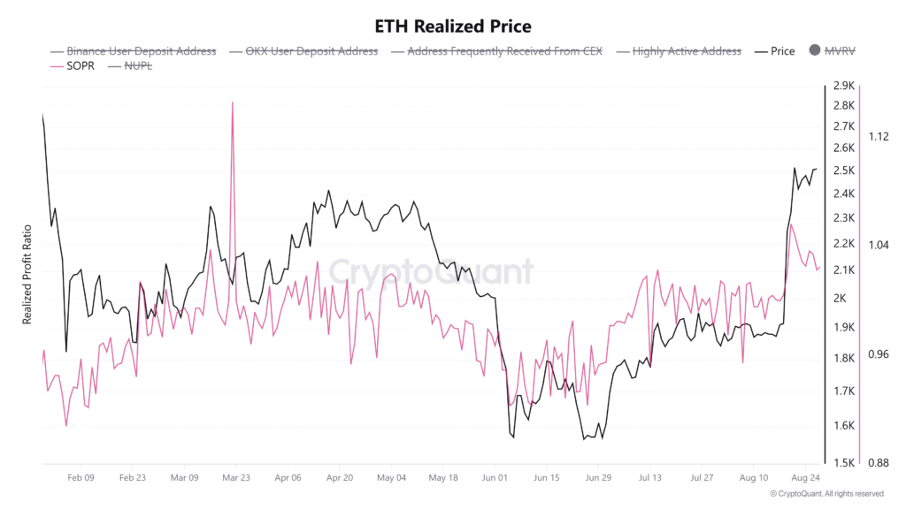 Profit-taking slows rally as network activity lags