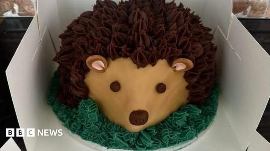 Fareham and Gosport volunteers bake free birthday cakes for kids
