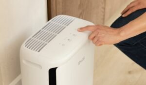 Levoit’s new air purifier is for the pet odors that have taken over your apartment Levoit’s new air purifier is for the pet odors that have taken over your apartment