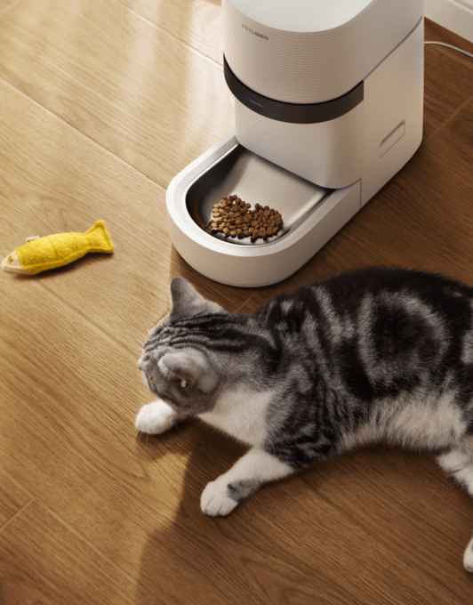 Petlibro’s new AI-powered feeder is a game changer for multi-cat homes Petlibro’s new AI-powered feeder is a game changer for multi-cat homes