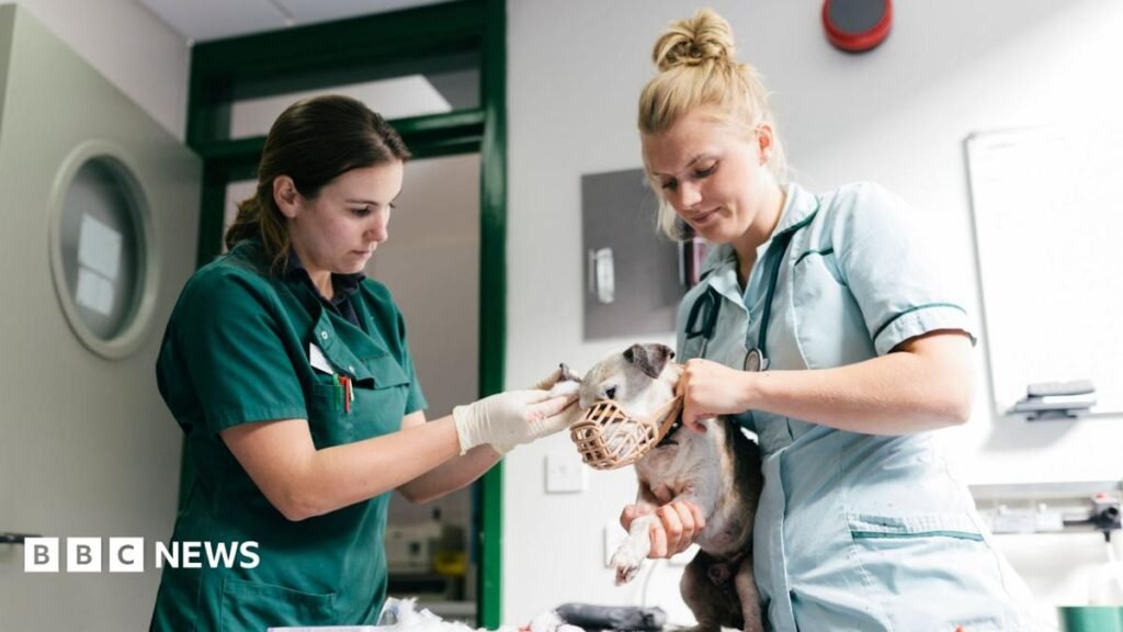 Vet prescription fees to be capped under rule changes Vet prescription fees to be capped under rule changes