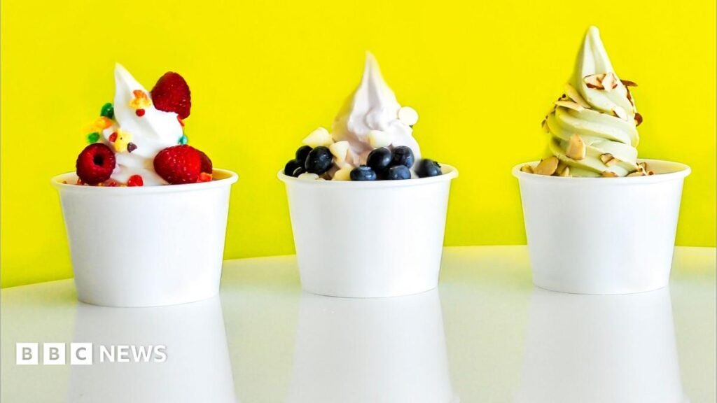 Froyo’s made a comeback. But at £12 a tub will it last? Froyo’s made a comeback. But at £12 a tub will it last?